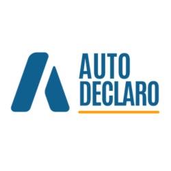 Autodeclaro Soluciones